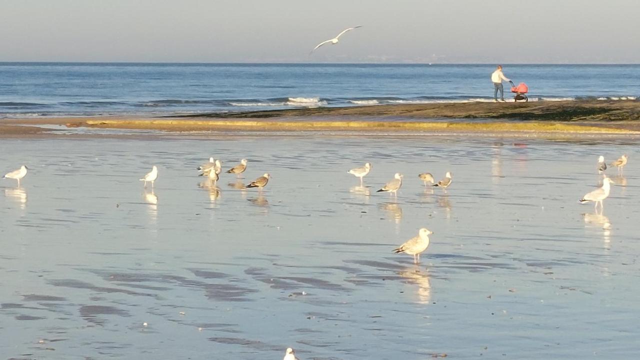 Les 3 Mouettes A Cabourg - Cote Normande Leilighet Eksteriør bilde